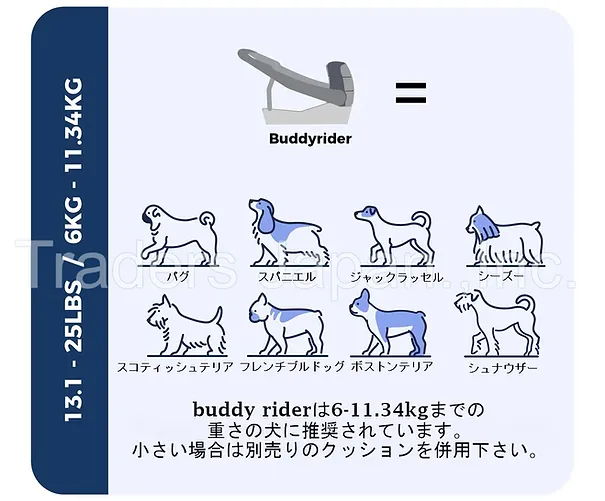 中型犬