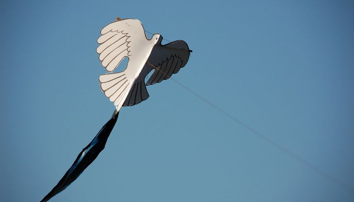 dresdner stadt indianer papier drachen deutscher adler