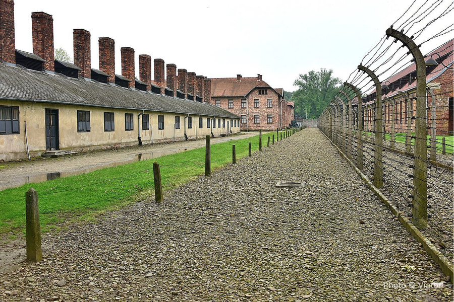From Krakow: Auschwitz-Birkenau Guided Tour (hotel pick up) - photo 3