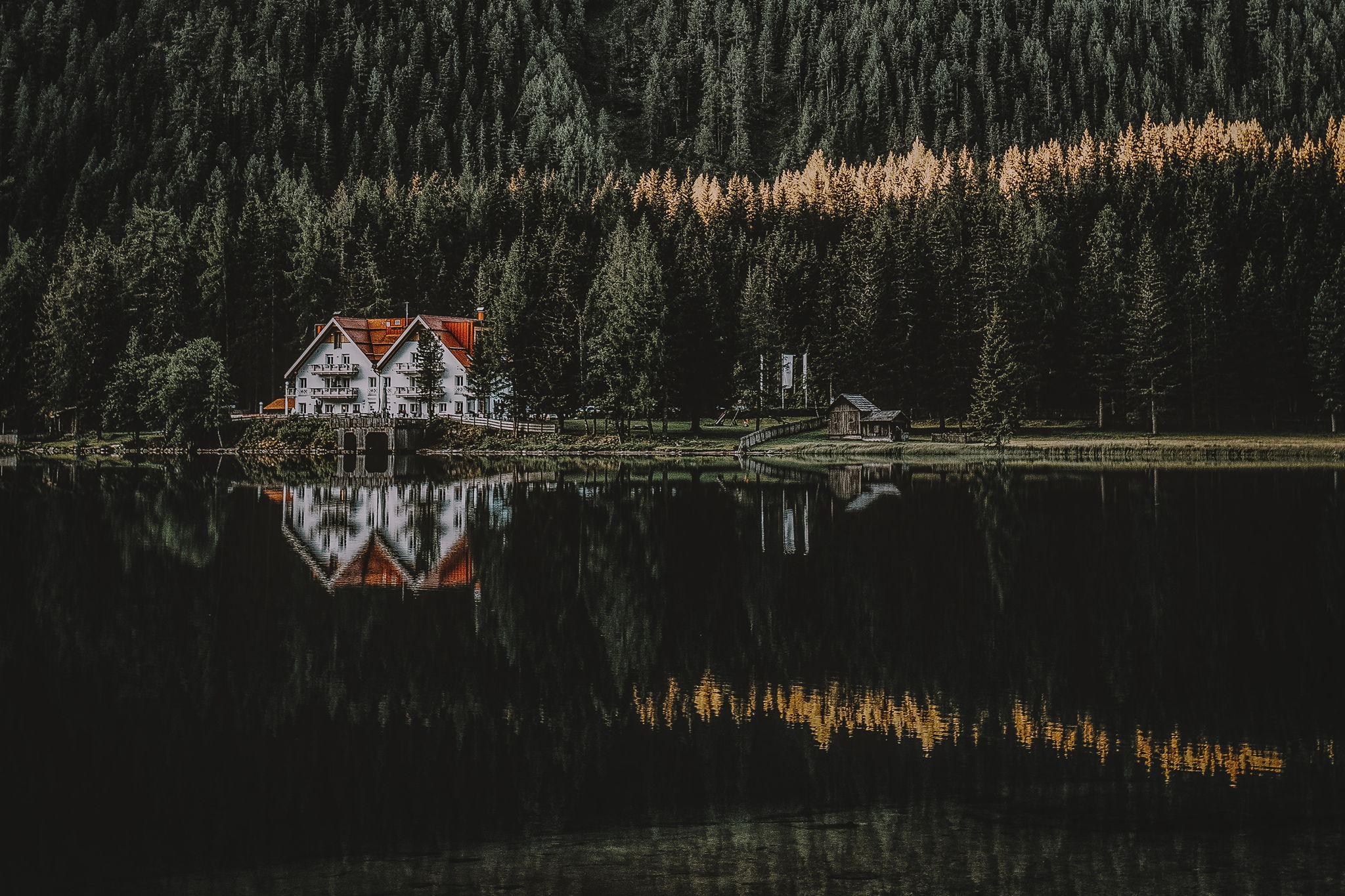 Image with water, trees and houses