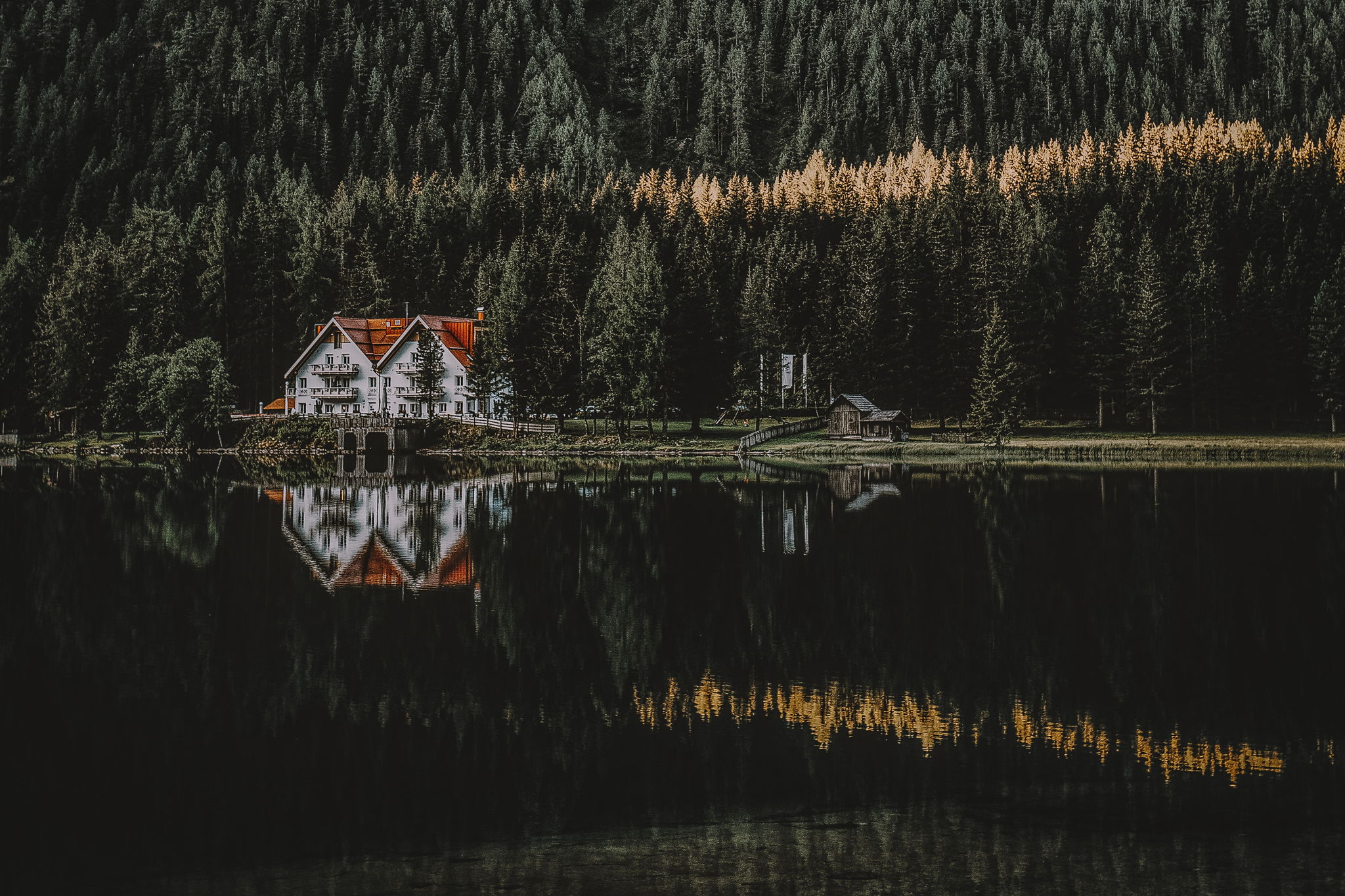 Image with water, trees and houses