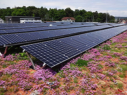  Bozen
- Photovoltaik Unternehmen