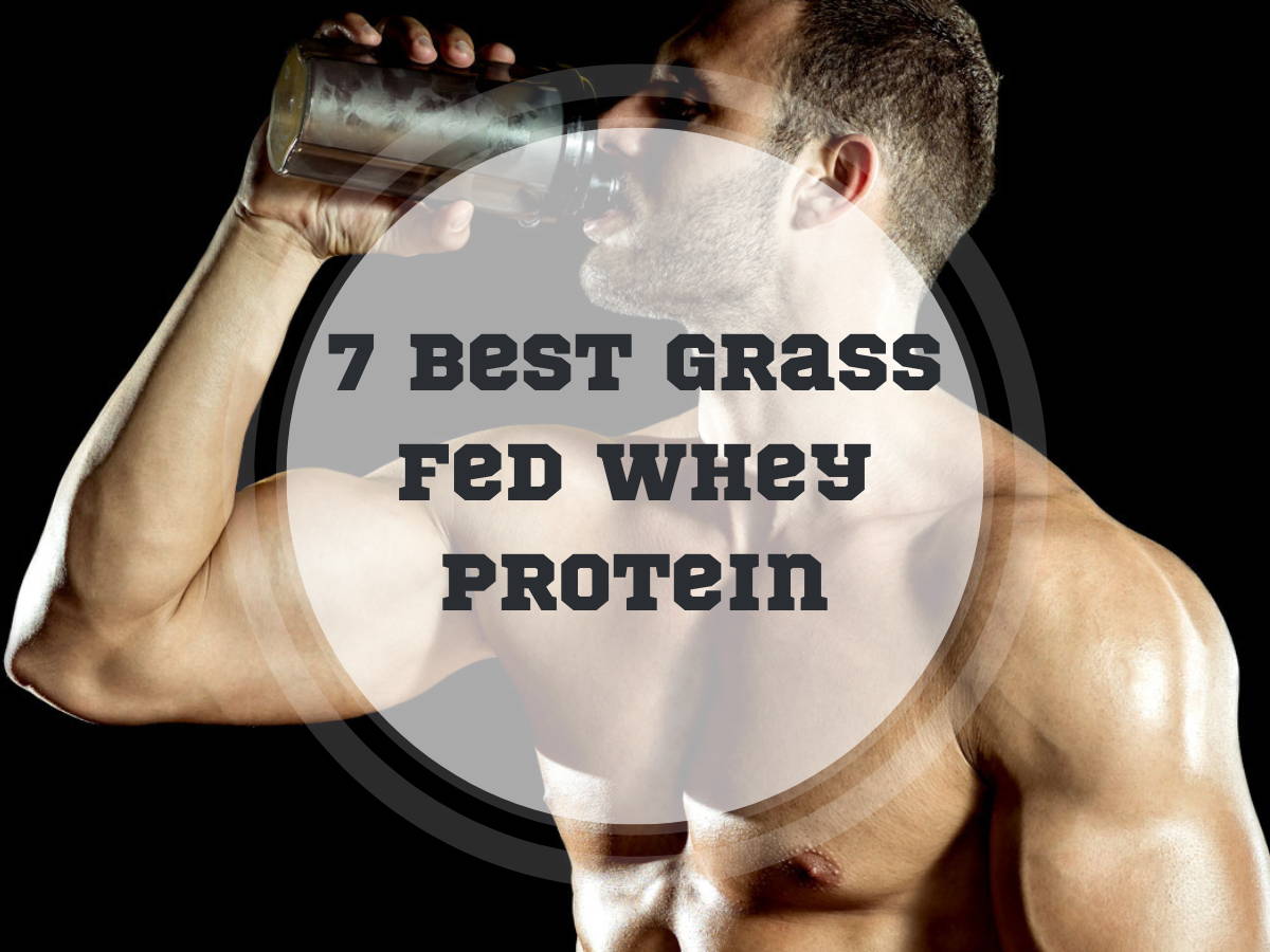 best grass fed whey protein 