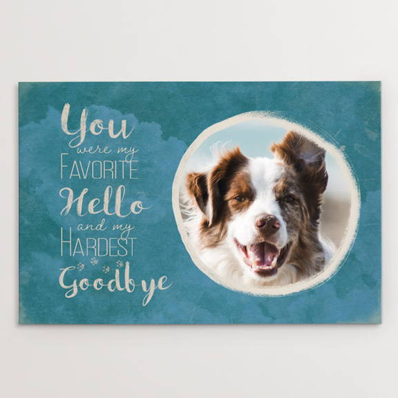You Were My Favorite Hello and My Hardest Goodbye, Memorial, Border Collie