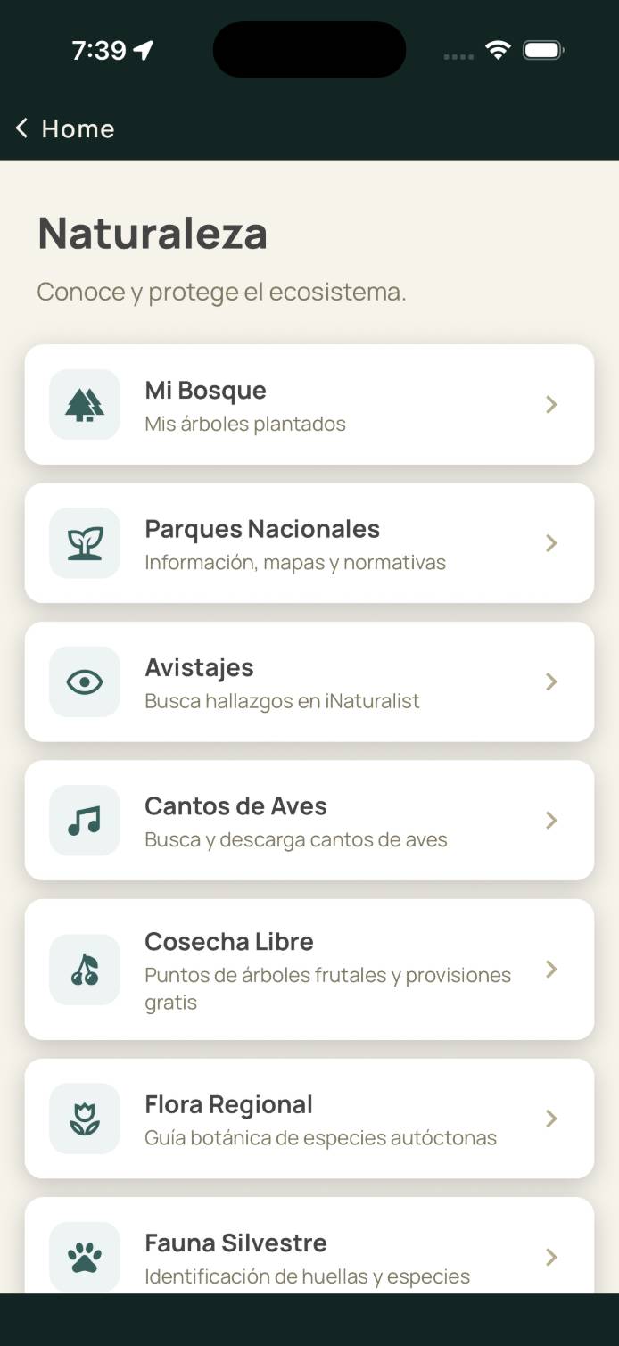 Segmenting lists developers developer - Mauro E.'s portfolio image