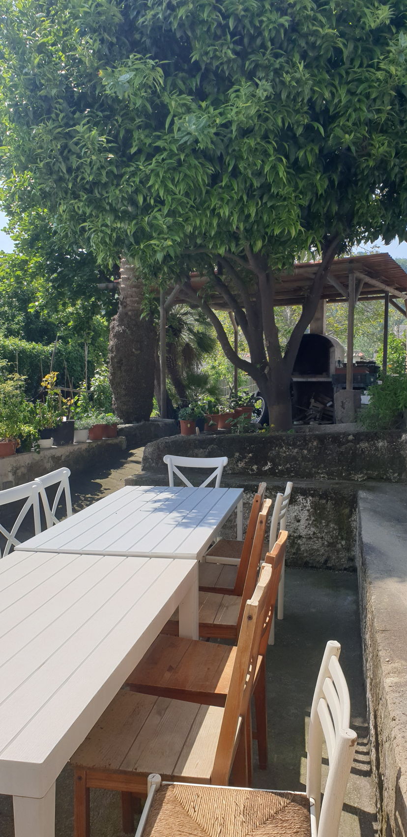 Cooking classes Barano d'Ischia: Exploring flavors and scents of Ischia