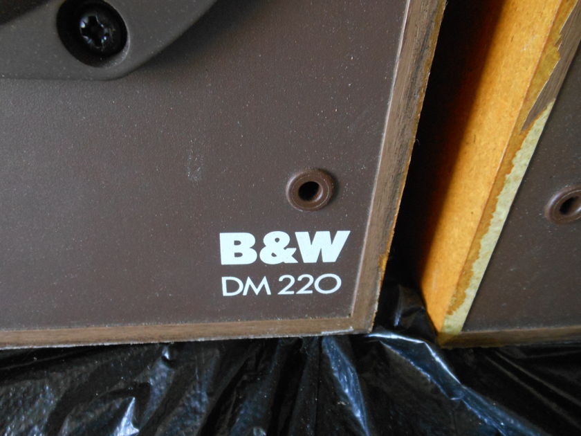 B&W (Bowers & Wilkins) DM-220