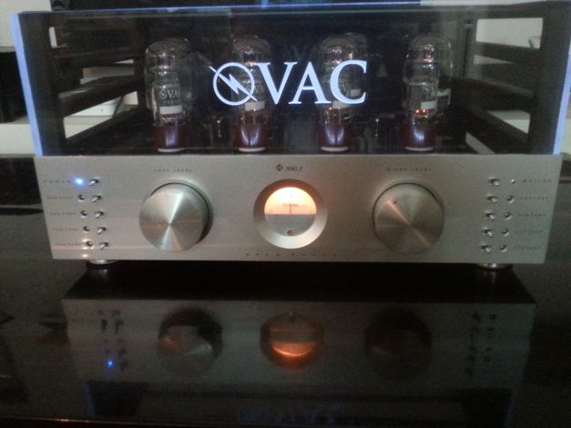 Valve Amplification Company PHI-300.1 amplifier