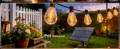 Features of Ollny's 800 leds green cable warm white string lights