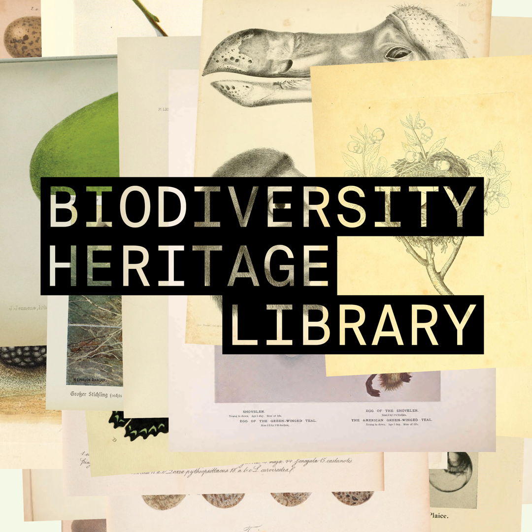Image of Biodiversity Heritage Library