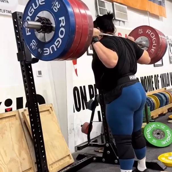 Rogue EU weightlifting barblle