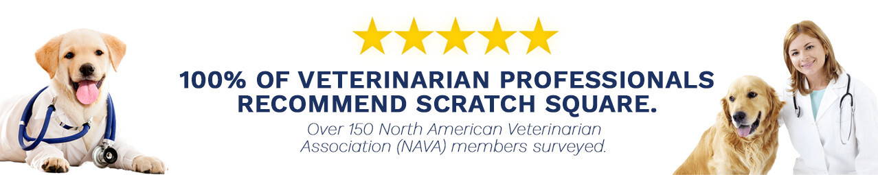 100% of Veterinarian Professionals recommend Scratch Square. (Over 150 North American Veterinarian Association members surveyed).
