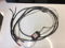 Synergistic Research Core Active  6ft Speaker Cable 2