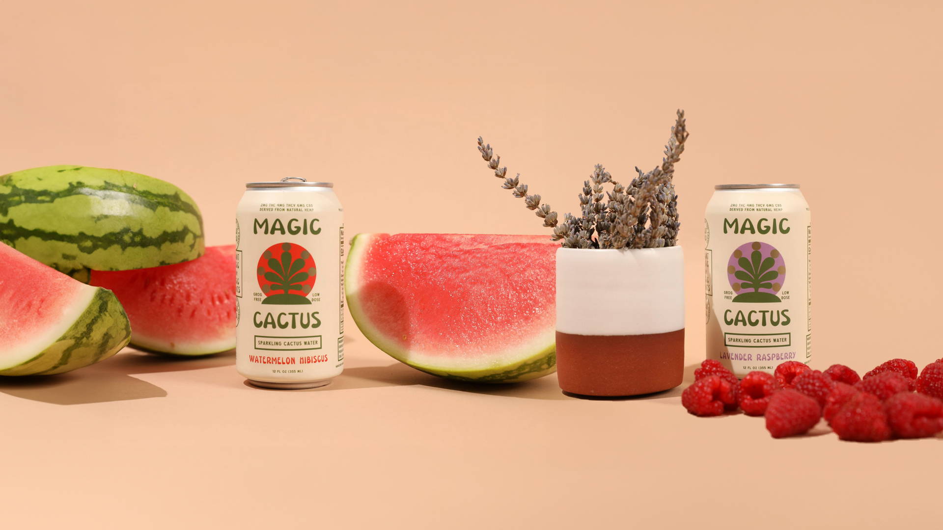 Featured image for Land-Designed Magic Cactus Combines Two Special Plants For a Session-Strength Infused Beverage