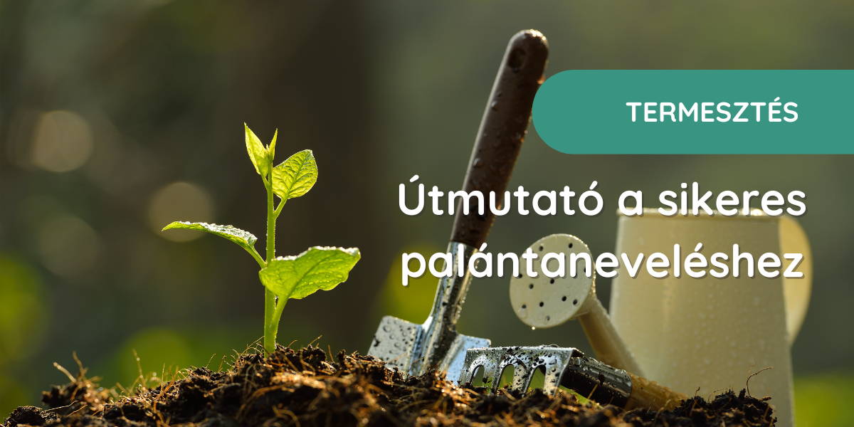 Útmutató a sikeres palántaneveléshez