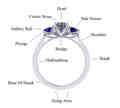 Understanding the diamond ring anatomy