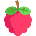 picto framboise