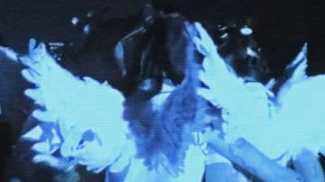 Main Content Image