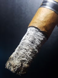 Cigar Session Photo