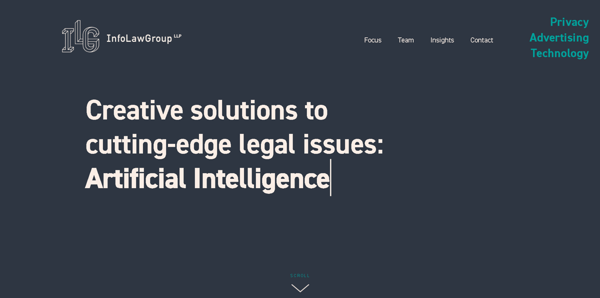 Screenshot of InfoLawGroup LLP, from the law firm websites collection.