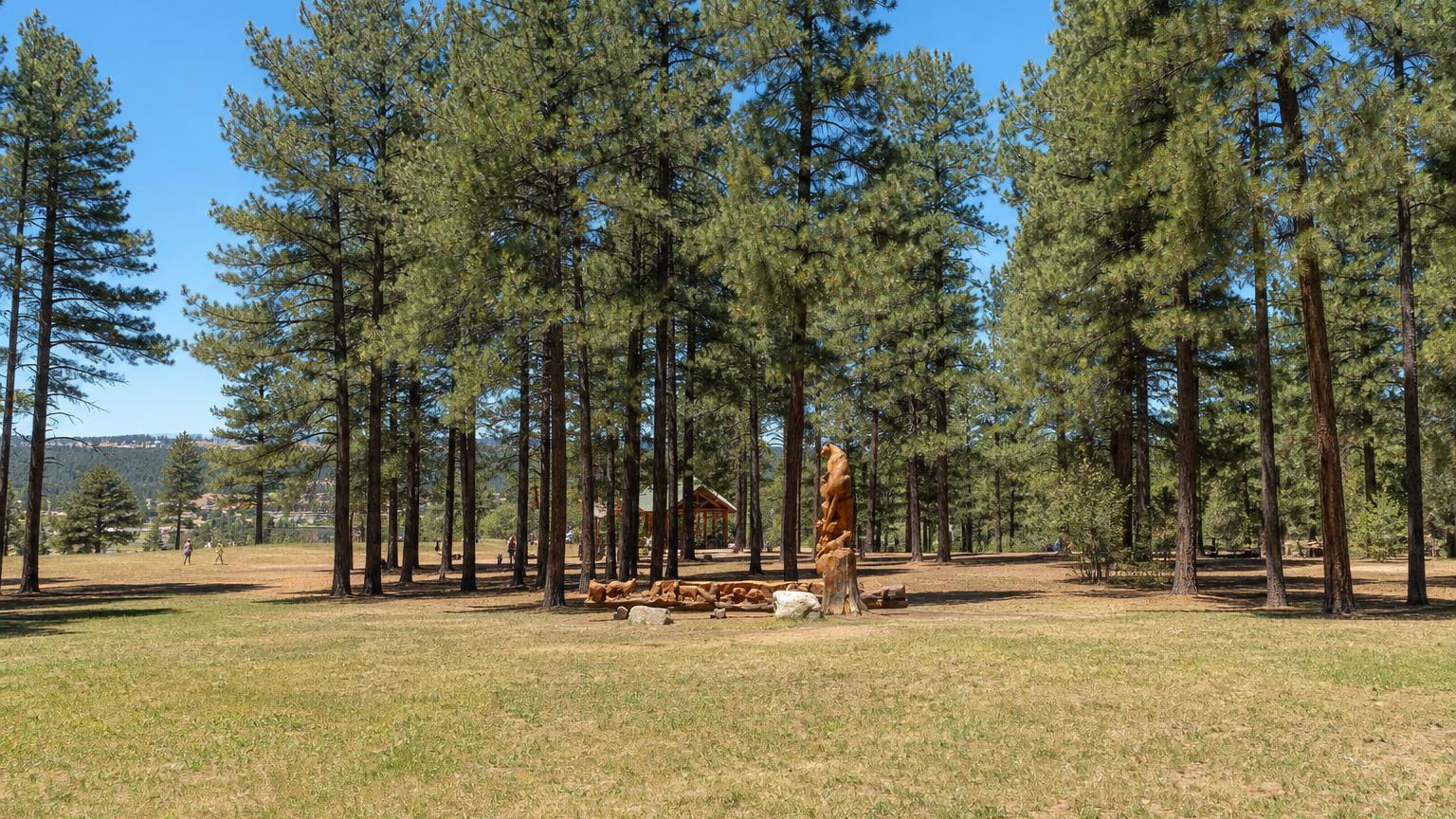 Slideshow image