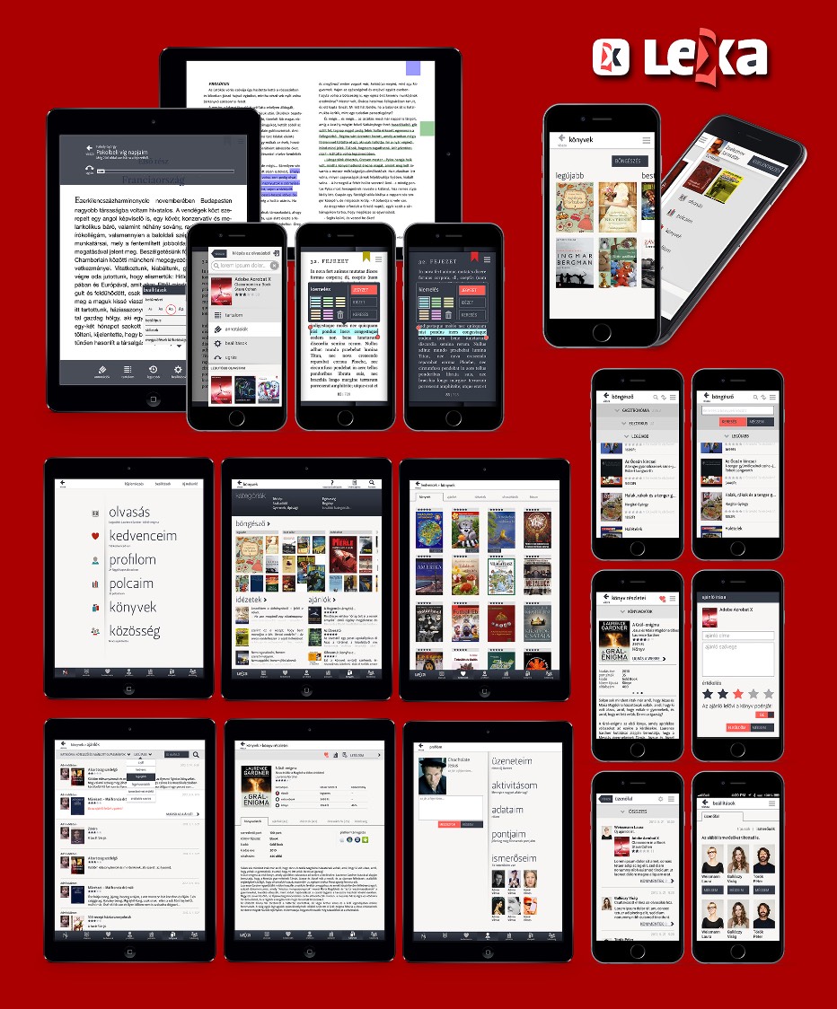 Patent prosecution developers developer - Yaroslav Z.'s portfolio image