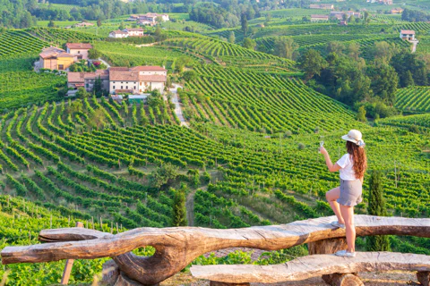 From Venice: A sparkling day in the Prosecco Hills