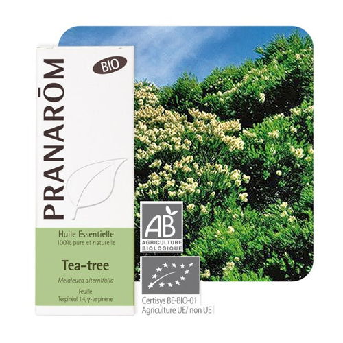 Huile essentielle de tea tree bio