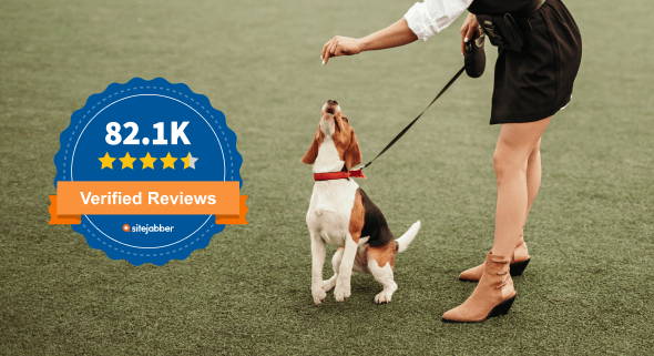 Barx buddy dog training clearance