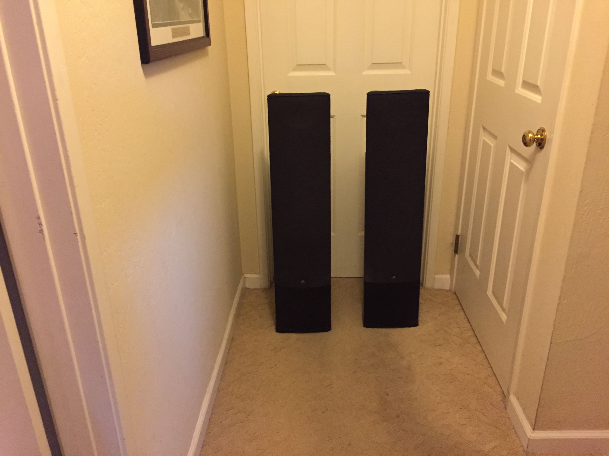 Martin logan hot sale mosaic