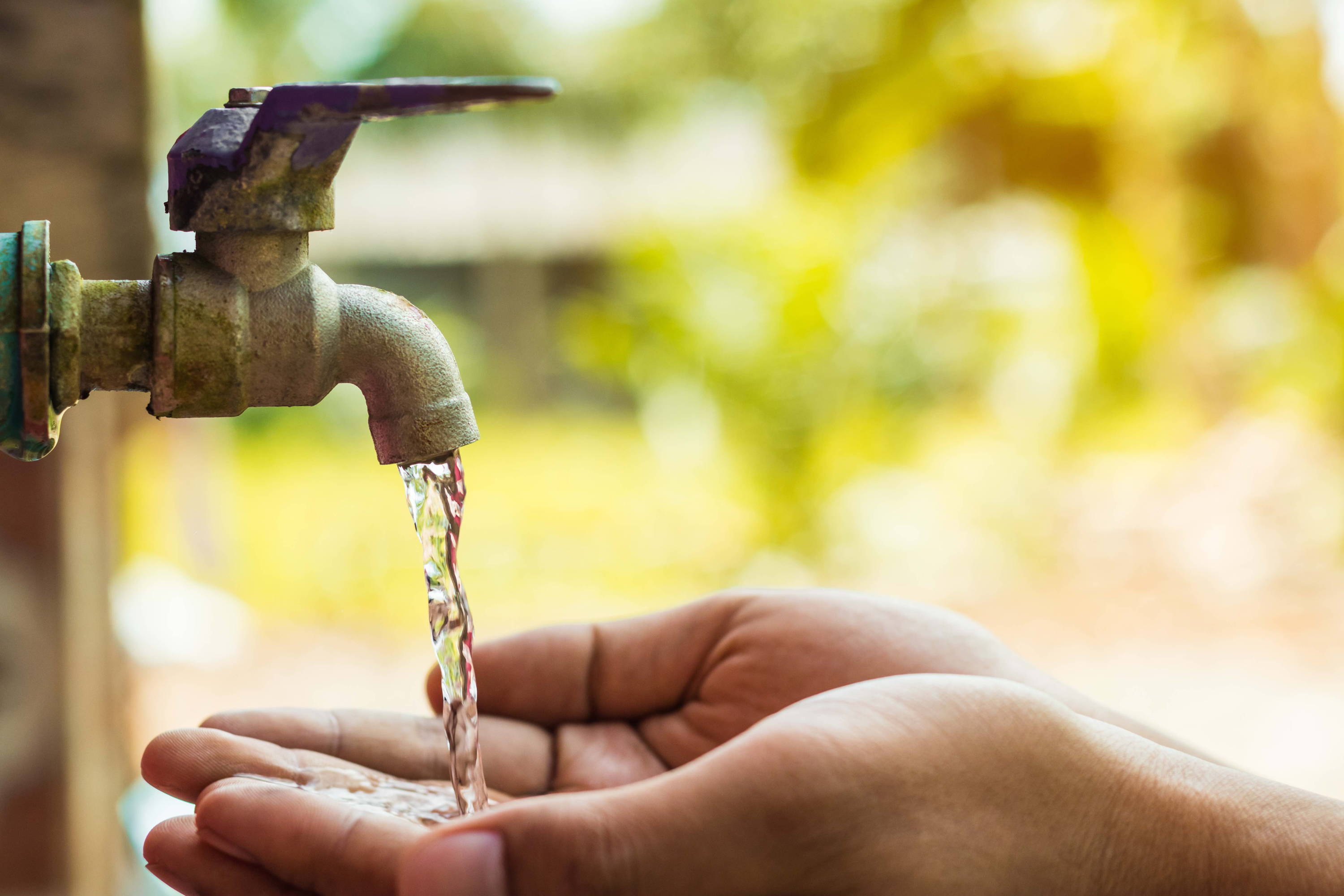 Hands with tap water