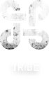 TRIBE