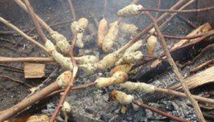 hofgut graue presse stock grillen vg