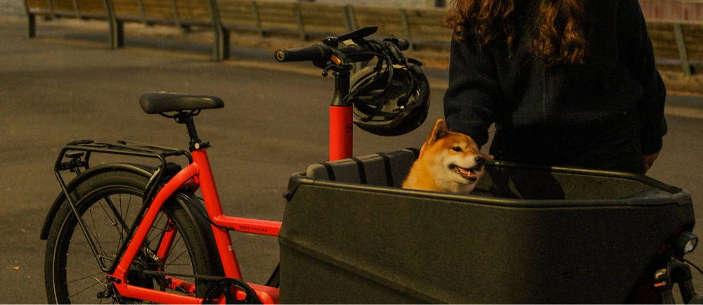 Riese & Müller electric cargo bike with dog