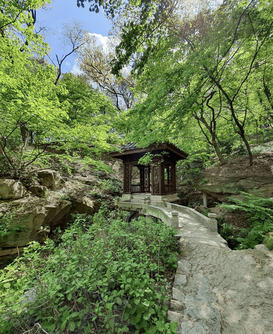 Nature hideaway Hidden Gem Seokpajeong
