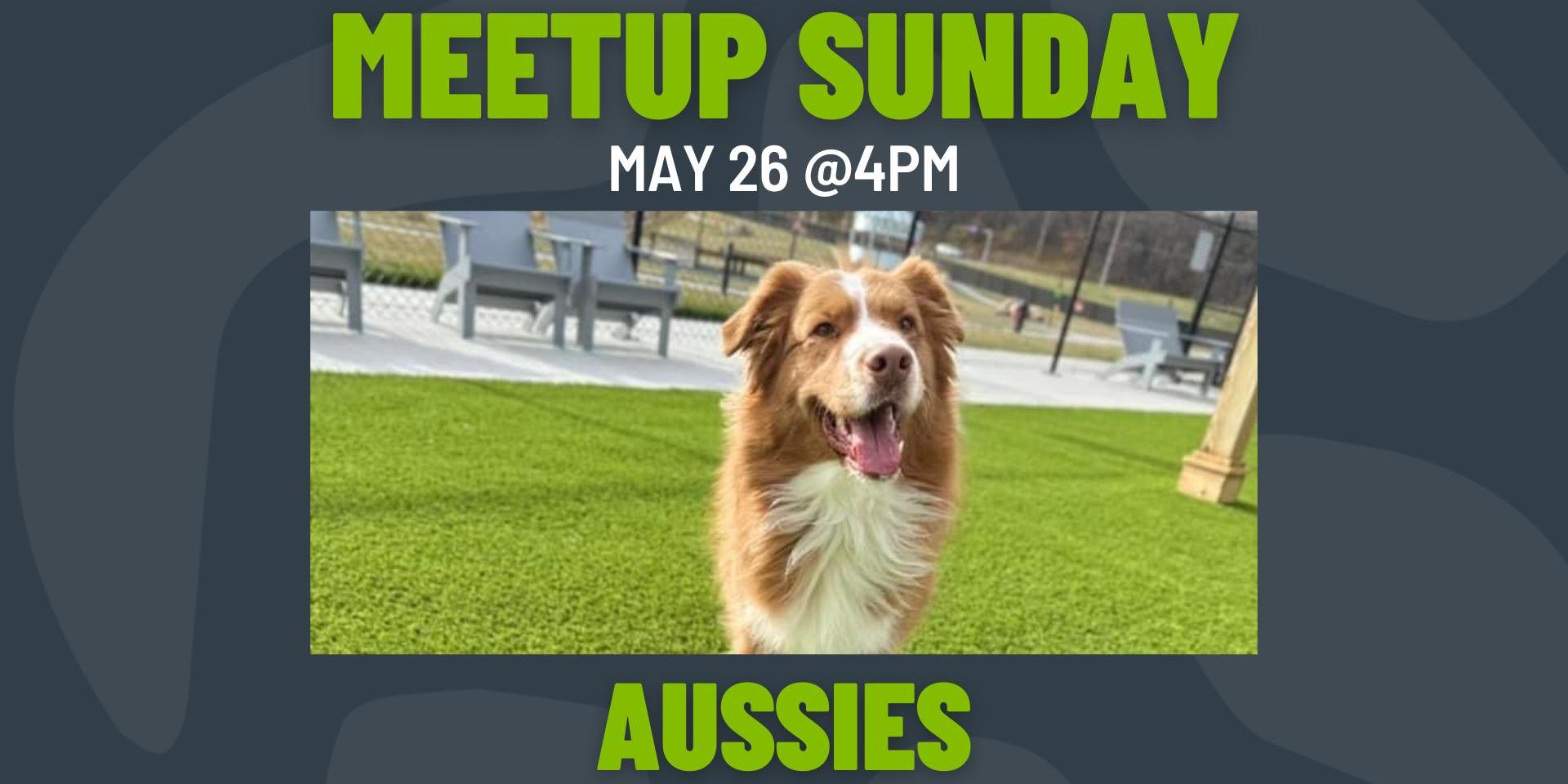 Meetup Sunday: Aussies promotional image