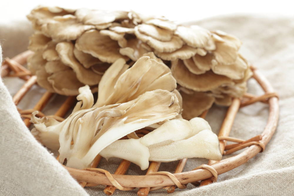 Maitake mushroom in basket on table