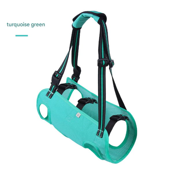 Turquoise Green Pet Support Harness for Senior and Disabled Dogs - Adjustable Chest and Back Support Leash