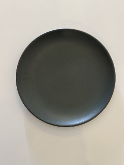 Seasonal Teal Green Coupe Line Dinner Plate