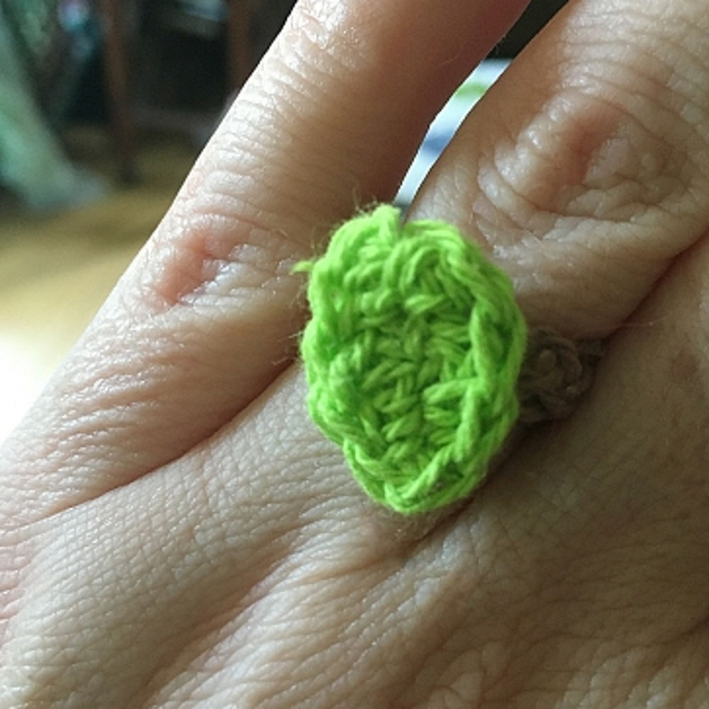 A Collection of Rings