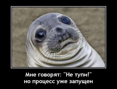 Мне говорят: 