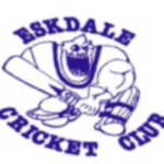 Eskdale cricket club Logo