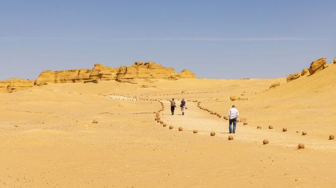 Wadi al Hitan, Faiyum, Egypt. February 20, 2022. Walking trail to fossils at Wadi el-Hitan paleontological site.
