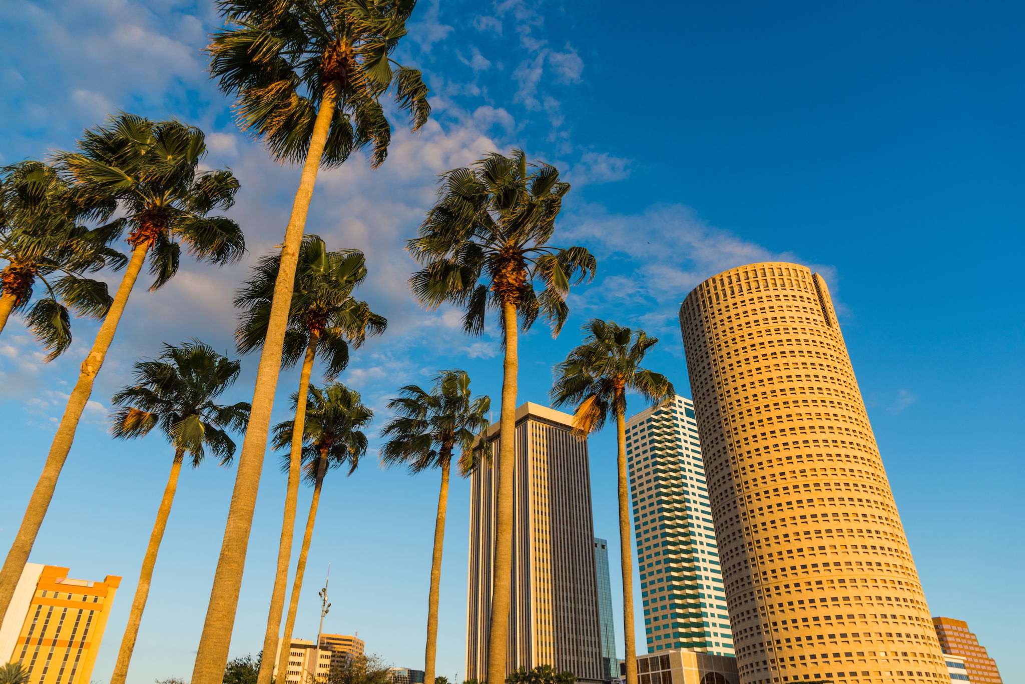 Properties En Venta in Tampa Palms
