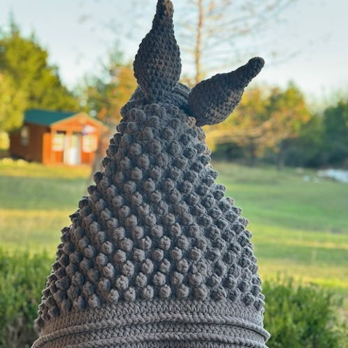 Armadillo Blanket
