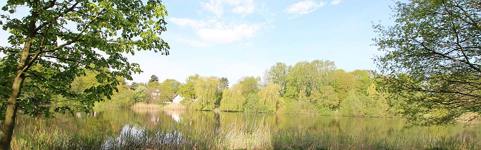 Kaufen Oder Verkaufen Sie Ihr Gepflegtes Haus In Farmsen Berne