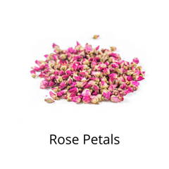 rose petal buds on white background