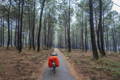 VTC équipé cyclotourisme en forêt