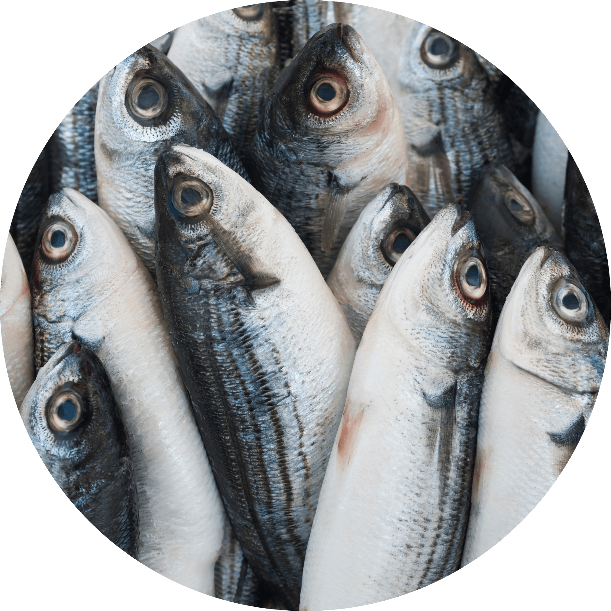 Magnesium Glycinate Singapore food sources