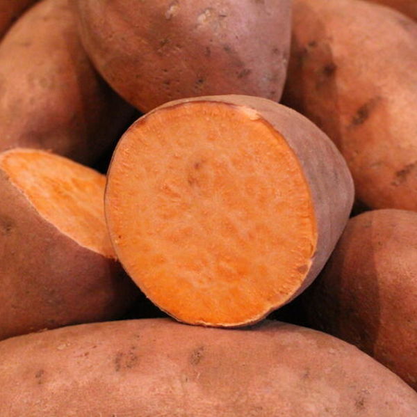pomme-de-terre-douce-orange